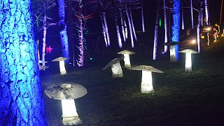 Bad Lippspringe: Waldleuchten auf dem Gartenschaugelände