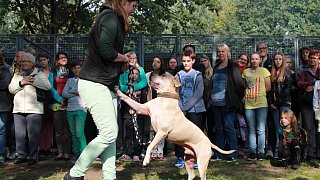 Viele Besucher beim Herbstfest zum 50. Jubiläum des Tierheimes