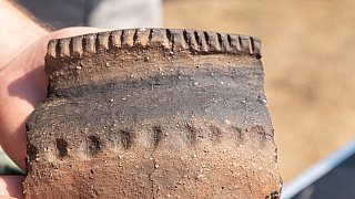 Lübbecke: Archäologen entdecken historische Hofstelle