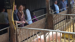 Borchen: Hoffest in Hamborn mit Tieren, Kunst und Bioessen