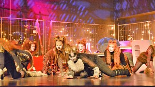 TSV-Jazztanz, Musical Dancing Cats
