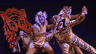 Lichtenau: Männerballett-Wettbewerb in Atteln