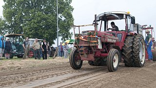 Kirchlengern: 12. Alttraktoren-Treffen in Klosterbauerschaft