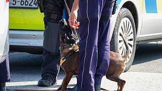 Ausbruch aus der JVA Senne