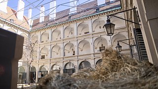 Paderbornerin macht Karriere an der Spanischen Hofreitschule in Wien