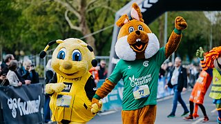 Paderborn: 75. Osterlauf