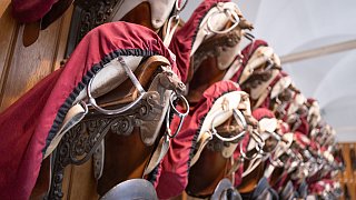 Paderbornerin macht Karriere an der Spanischen Hofreitschule in Wien