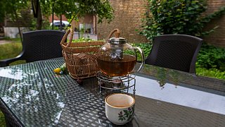 Schönster Garten in OWL: Versmold