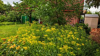 Schönster Garten in OWL: Versmold