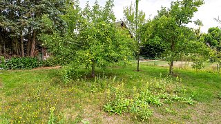 Schönster Garten in OWL: Versmold