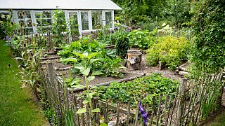 Wettberwerb Schönster Garten in OWL - Zu Besuch bei Jana Hermanns