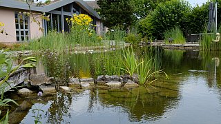 Der Garten von Familie Beckmann aus Preußisch Oldendorf