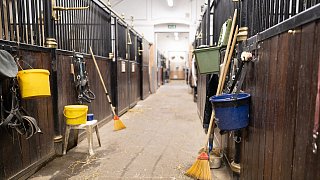 Paderbornerin macht Karriere an der Spanischen Hofreitschule in Wien