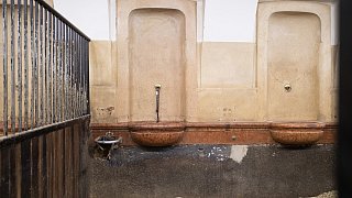 Paderbornerin macht Karriere an der Spanischen Hofreitschule in Wien