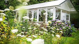 Wettberwerb Schönster Garten in OWL - Zu Besuch bei Jana Hermanns