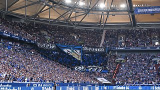 SC Paderborn siegt 2:0 gegen FC Schalke 04