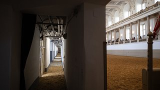 Paderbornerin macht Karriere an der Spanischen Hofreitschule in Wien