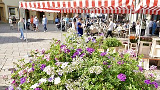 Wunderschöner Spätsommer in der Bielefelder Altstadt