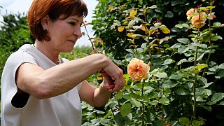 Der Garten von Familie Beckmann aus Preußisch Oldendorf