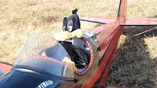 Modellflugshow Segelflugplatz Oerlinghausen