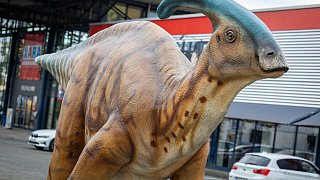 Paderborn: Diese Dinosaurier sind in der Stadt zu sehen