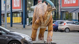 Paderborn: Diese Dinosaurier sind in der Stadt zu sehen