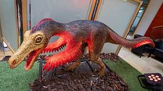 Paderborn: Diese Dinosaurier sind in der Stadt zu sehen