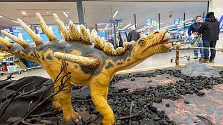 Paderborn: Diese Dinosaurier sind in der Stadt zu sehen