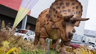 Paderborn: Diese Dinosaurier sind in der Stadt zu sehen