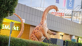 Paderborn: Diese Dinosaurier sind in der Stadt zu sehen
