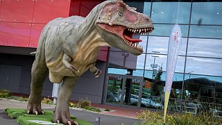 Paderborn: Diese Dinosaurier sind in der Stadt zu sehen