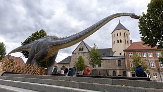 Paderborn: Diese Dinosaurier sind in der Stadt zu sehen