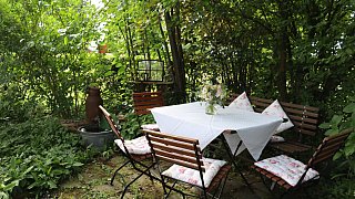 Garten von Mareike Hübner aus Löhne