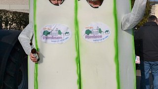 Bad Driburg: Närrischer Karnevalsumzug durch die Badestadt