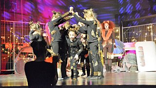 TSV-Jazztanz, Musical Dancing Cats