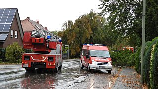 Sturm entwurzelt Bäume im Kreis Gütersloh