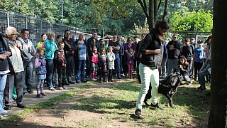 Viele Besucher beim Herbstfest zum 50. Jubiläum des Tierheimes