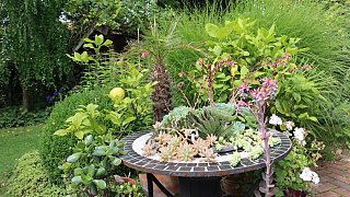 Garten von Mareike Hübner aus Löhne