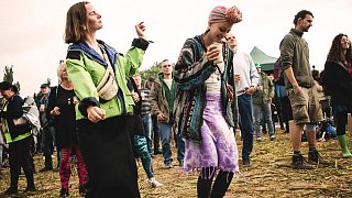 Steinheim: Reggae im Hanffeld