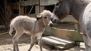Die schönsten Fotos aus dem Tierpark Waldfrieden