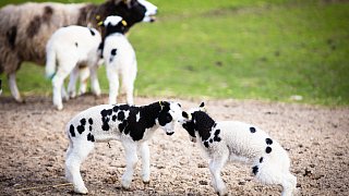 Bielefelder Ausflugsziele am ersten Quarantäne-Wochenende der Korona-Krise