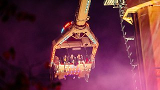 Pollhans-Markt ist gestartet