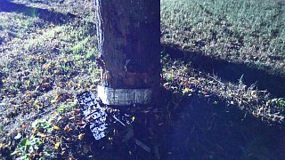 Versmold: Autofahrer bei Unfall lebensgefährlich verletzt