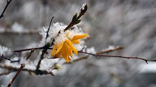 Glatte Straßen, weiße Pisten - Der Winter ist da