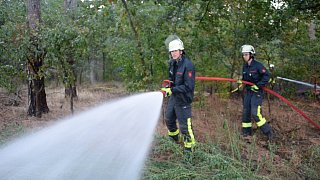 Waldbrand im Rhedaer Forst gelöscht