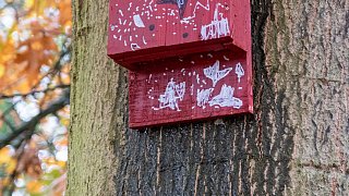 Ökologisches Gemeinschafts-Grabfeld in Herford