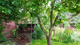 Schönster Garten in OWL: Versmold