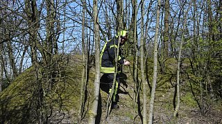 Mehr als 100 Einsatzkräfte suchen Vermissten 84-Jährigen