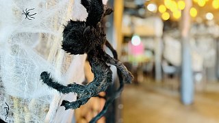 Bielefeld: Halloween an der Wertherstraße und am Boulevard