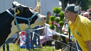 Geduldsprobe beim Kuhfladen-Roulette in Gütersloh